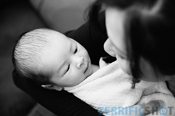 maternity studio portrait Terrificshot Photography