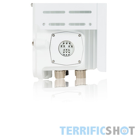 white-3L8A7642