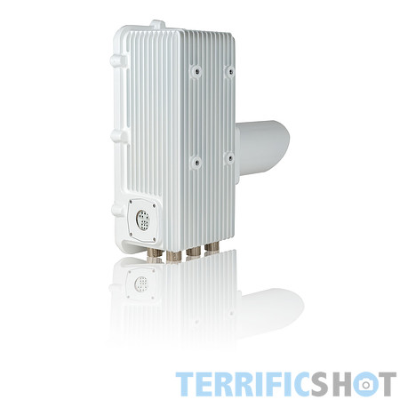 white-3L8A7670