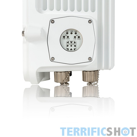 white-3L8A7678