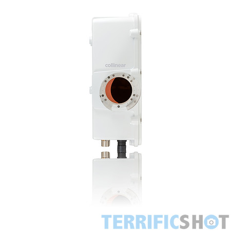 white-3L8A7694