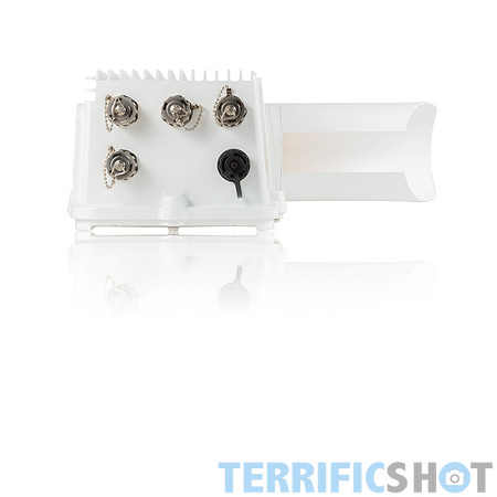 white-3L8A7695