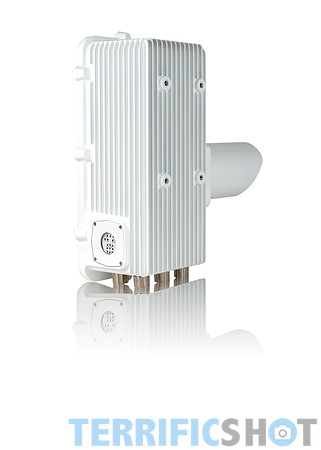 white-3L8A7671