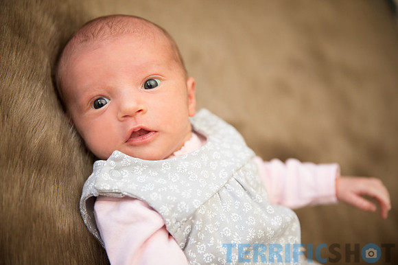 newborn_portrait_baby_photography-3