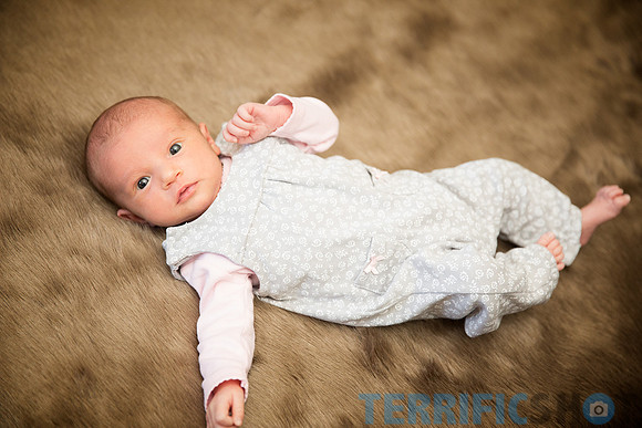 newborn_portrait_baby_photography-17
