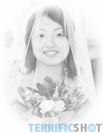 wedding_bride_with_veil_san_francisco_city_hall_black_and_white