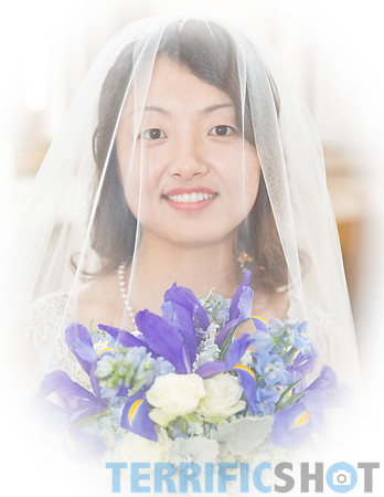 wedding_bride_with_veil_san_francisco_city_hall