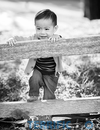 large_big_family_outdoor_portrait_photography-8