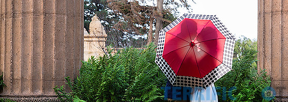 palace_of_fine_art_san_francisco_banner
