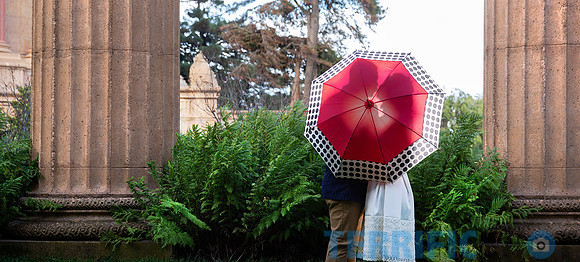 palace_of_fine_art_san_francisco_banner_blog