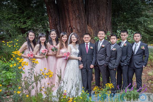 Portola_Valley_Wedding_Photographer_Presbyterian-15