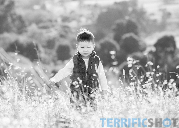arastradero_preserve_park_palo_alto_family_photography-6