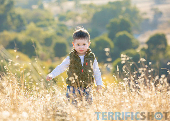 arastradero_preserve_park_palo_alto_family_photography-5
