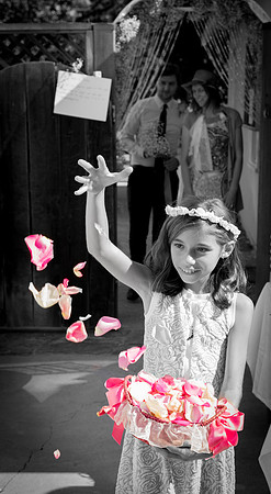 Wedding Photography TerrificShot Bay area Photographer