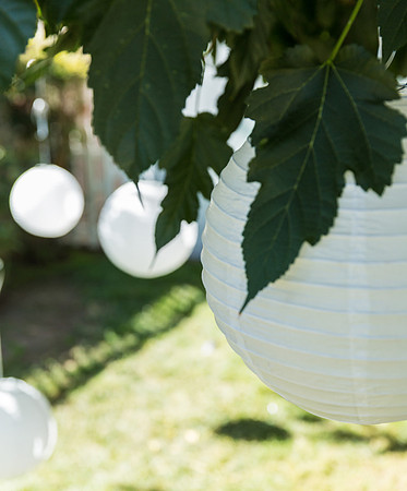 Wedding Photography TerrificShot Bay area Photographer
