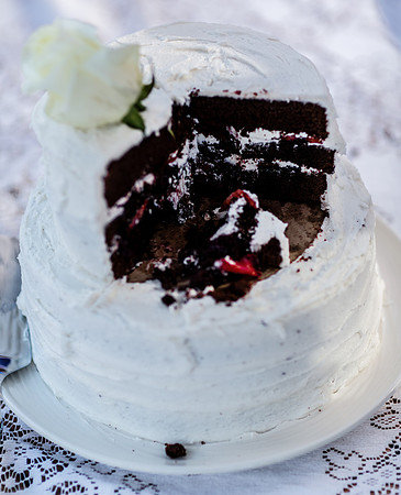 Wedding Photography TerrificShot Bay area Photographer