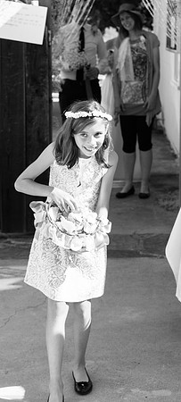 Wedding Photography TerrificShot Bay area Photographer